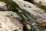 Moving water