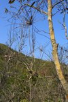 SanAChung_046
