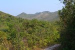 SanAChung_049