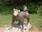 ShingMumPinic01
