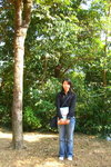 ShingMun12