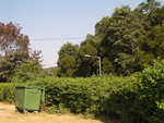 TaMuShanPIC006