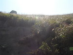 TaMuShanPIC022