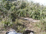 TaMuShanPIC023