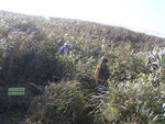 TaMuShanPIC027