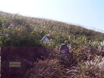 TaMuShanPIC028