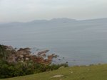 tamun_081
