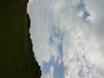 tamun_155