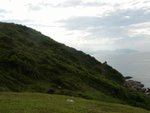 tamun_165