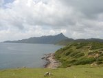 tamun_182