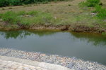 TaWan11_020