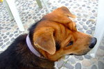 TaWan11_029