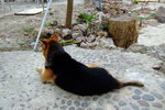 TaWan11_030