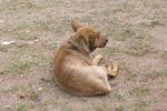 TaiO_012