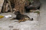 TaiO_023