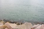 TaiO_118