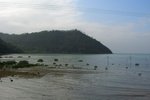 TaiO_132