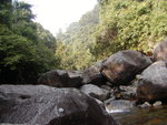 TaShen024