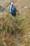 向大東山山頂的山路, 雜草縱生