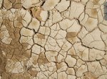 Dry