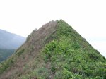 睇魚岩頂 from bottom