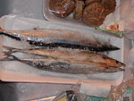 tsuenkam11