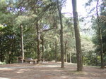 tsuenkam32