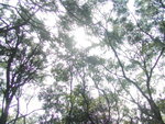 tsuenkam48
