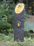 tsuenkam50