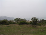 TungWan002