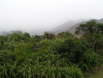 TungWan016