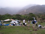 TungWan034