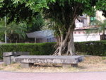 P1010008