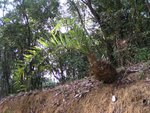 YuenTsuen_012