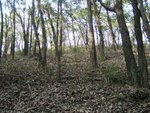 YuenTsuen_016