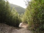 YuenTsuen_017
