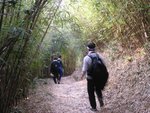 YuenTsuen_018