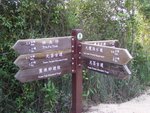 YuenTsuen_019