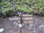 YuenTsuen_027