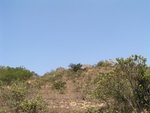 YuenTsuen_082