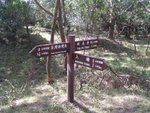 YuenTsuen_083