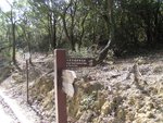 YuenTsuen_093