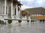 bangkok237