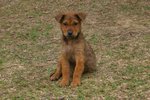 bHamTin_003
