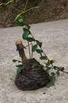 bHamTin_011