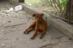 bHamTin_016