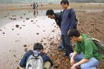 bHamTin_022