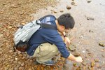 bHamTin_024