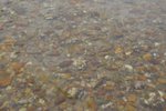 bHamTin_028