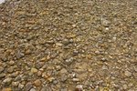 bHamTin_032